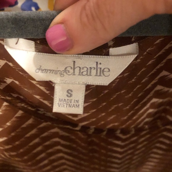 Brown and tan transparent blouse - Picture 4 of 6